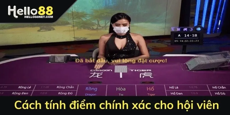 Cách tính điểm chính xác cho hội viên